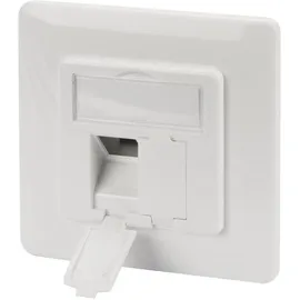 Digitus Leerdose mit Frontplatte für 2x Keystone Module