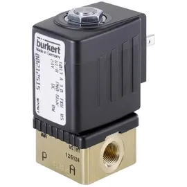 Bürkert Direktgesteuertes Ventil 125311 6013 24 V/DC G 1/4 Muffe Nennweite (Details) 6mm 1St.
