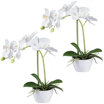Creativ green Kunstorchidee Orchidee Phalaenopsis, Creativ green, Höhe 33 cm, im Design-Topf weiß