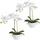 Creativ green Kunstorchidee Orchidee Phalaenopsis, Creativ green, Höhe 33 cm, im Design-Topf weiß