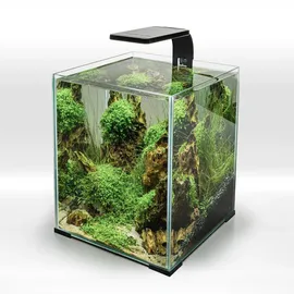 AquaEl Leddy Smart 4,8 W PLANT&NIGHT schwarz