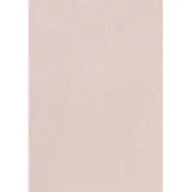 LASCANA Brasilslip 2 St. rosa 32/34