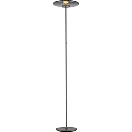 neuhaus pure® by paul neuhaus Vitrum 32,0 cm 180,0 cm grau