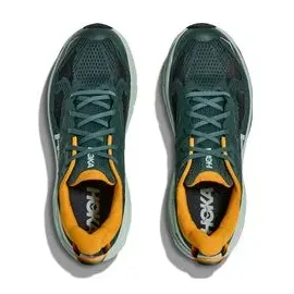 HOKA Challenger 8 Herren Bay Leaf/Sage 44