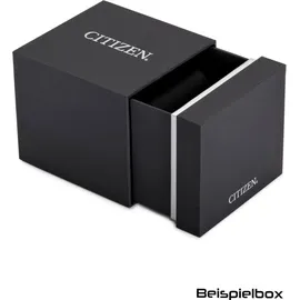 Citizen Super Titanium EW2610-80L Edelstahl 31 mm