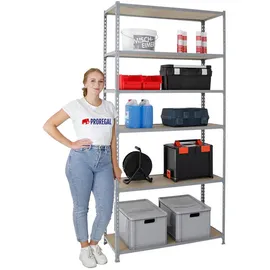 Proregal Schwerlastregal Stahl 250x100x50cm Grau 6 Fachböden