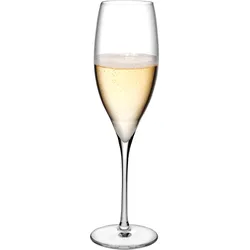 Terroir Champagner-Gläser 2 St.