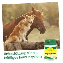 cdVet PropolisHerbal Pulver 20 g