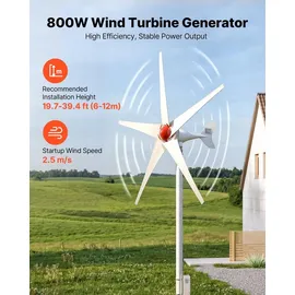 Vevor 800W 12V Horizontale Windkraftanlage Windgenerator mit MPPT & PWM, 5 Rotorblätter, 3-Phasen-Wechselstrom, IP67 & Überladeschutz, Wind- & Solar-Hybridregler, Windturbine für Wohnhaus RV Marine