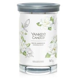 Yankee Candle White Gardenia Wachskerze Zylinder Weiß 1 Stück(e)