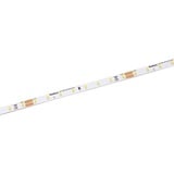 lampenwelt.de Radium Essence 1000 LED-Strip, 5 m, 40W, 3.000K