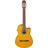 IBANEZ Acoustic Gitarre / GA3ECEOAM Standard