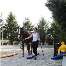 Dönges Anreitpuppe Pferdinand