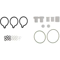 Bosch Reparatursatz, Common-Rail-System