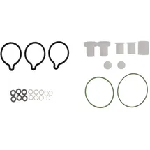 Bosch Reparatursatz, Common-Rail-System