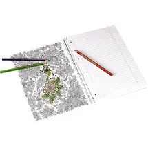 Brunnen Collegeblock Premium Student „Papagei“ ZENart A4 liniert, mit Randlinie innen und außen, Lin. 27 80 Blatt, weiß