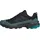 adidas Terrex Skychaser AX5 GTX Herren Core Black/Carbon/Pure Teal 47 1/3