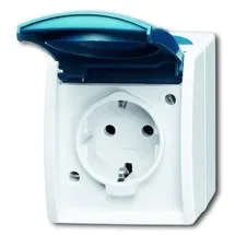 Busch-Jaeger Ocean SCHUKO Steckdose, grau/blaugrün 20 EW-53