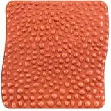 sanvithek goFit Gesundheitsmatte (Das Original)