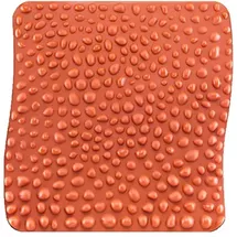 sanvithek goFit Gesundheitsmatte (Das Original)