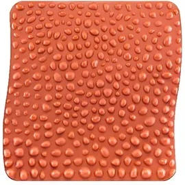 sanvithek goFit Gesundheitsmatte (Das Original)