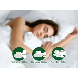 Dreamstar 2er Set Bettdecken | Winter Bettdecke für die kalte Jahreszeit | 135 x 200 cm | DREAMSTAR Eco | Weiß