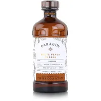 Monin Paragon Timur Berry 485ml - Cocktails Milchshakes (1er Pack)