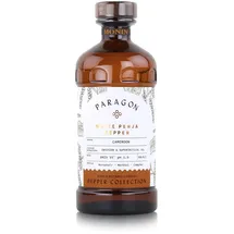 Monin Paragon Timur Berry 485ml - Cocktails Milchshakes (1er Pack)