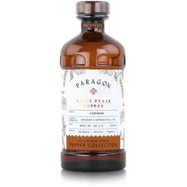 Monin Paragon Timur Berry 485ml - Cocktails Milchshakes (1er Pack)