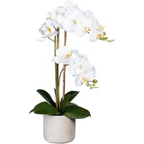 Creativ green Kunstorchidee »Phalaenopsis«, weiß