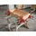 Bessey Vario-Korpuszwinge REVO KREV 2000/95