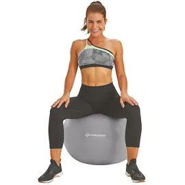 Donic Schildkröt GYMNASTIKBALL 65cm, (silver)