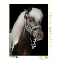 Calvendo Puzzle Shetland Pony 1000 Teile Puzzle hoch |