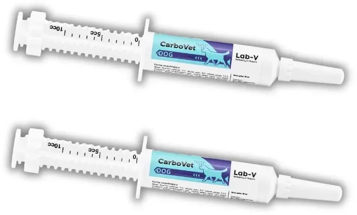 Lab-v CarboVet Dog – Ergänzungsfuttermittel zur Unterstützung des Verdauungssystems und der Toxinausscheidung für Hunde, 2x10 ml
