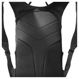 Salomon Trailblazer 10 black/alloy