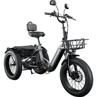 remington-fahrrad Remington R100 E Bike Dreirad 20 Zoll Elektrodreirad mit tiefem Einstieg klappbar