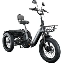 remington-fahrrad Remington R100 E Bike Dreirad 20 Zoll Elektrodreirad mit tiefem Einstieg klappbar