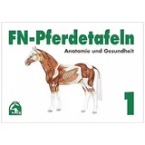 FNverlag FN-Pferdetafeln. Mappe 1: Anatomie und Gesundheit
