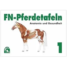 FNverlag FN-Pferdetafeln. Mappe 1: Anatomie und Gesundheit
