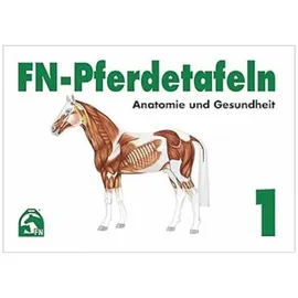 FNverlag FN-Pferdetafeln. Mappe 1: Anatomie und Gesundheit