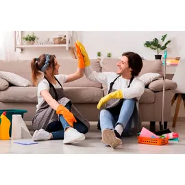 Swiffer Staubmagnet Starterset