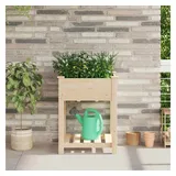 vidaXL Pflanzkasten mit Regal Beige 60.5 x 60 x 76.5 cm