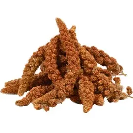 Lyra Pet Kolbenhirse rot Sittiche 2 kg