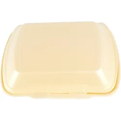 DayBays 200 Stk. Menübox IP4 Ungeteilt 245x210x72 mm Champagner