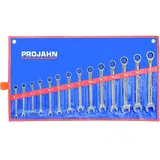 PROJAHN GearTech Schlüssel Satz Rolltasche 14tlg