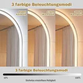 Costway Badspiegel, Badezimmerspiegel mit Beleuchtung, dimmbarer 3-Farben-Temperatur, Antibeschlag-Funktion&HD gehärtetem Glas, Wandspiegel 80x50 cm - Silber