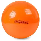 Pezzi Pezzi®-Ball Original Gymnastikball mit Übungsanleitung