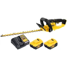 DeWalt DCMHT 563 P2 55 cm inkl. 2 x 5,0 Ah