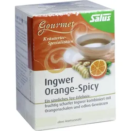 SALUS Orange Ingwer Kräutertee 15x2 g