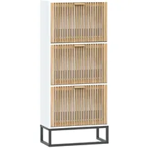vidaXL Schuhschrank 52 x 120 x 25 cm weiß